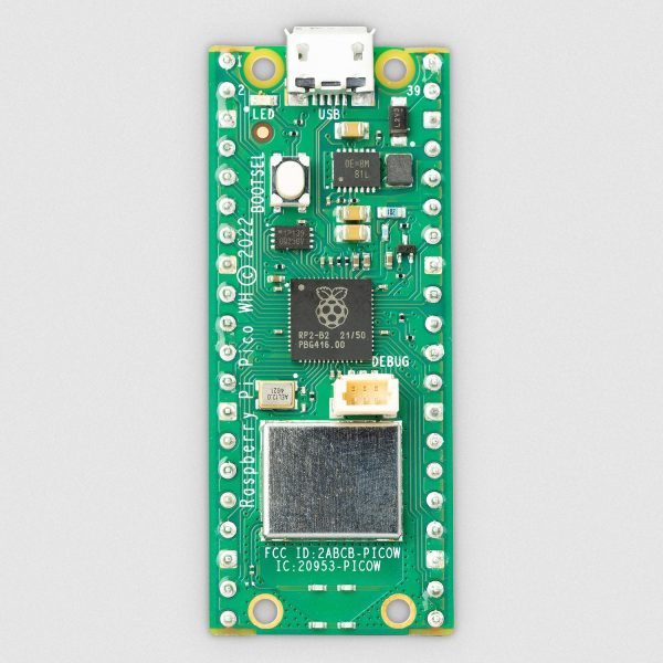 Raspberry Pi Pico W